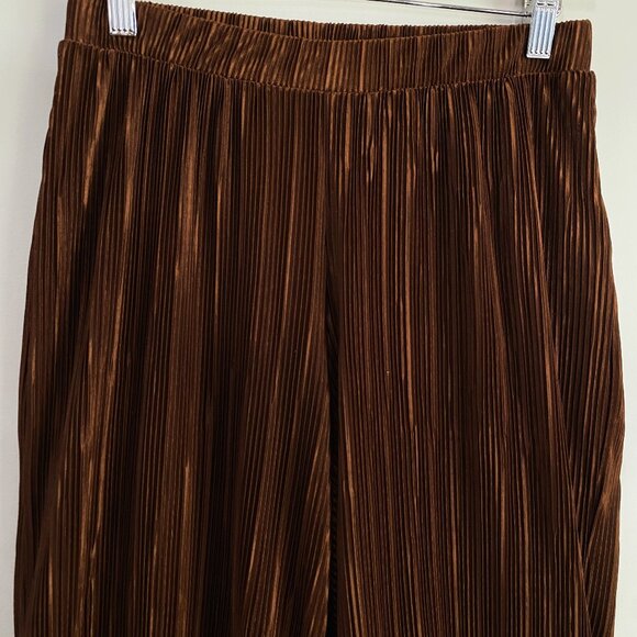 Zara | Brown Pleated Palazzo Pants |‎ Size Small Women's - Picture 4 of 12